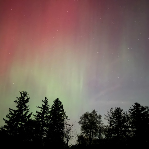 Meet your Posher! - Picture 1 of 1